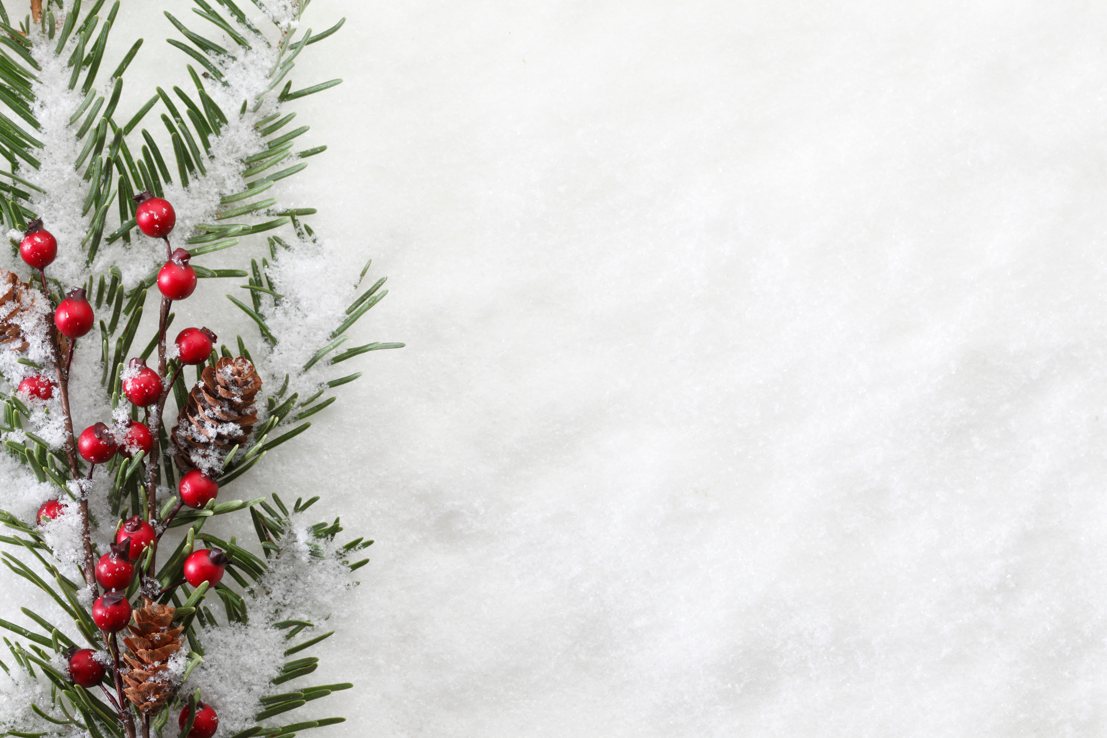 Christmas Boughs
