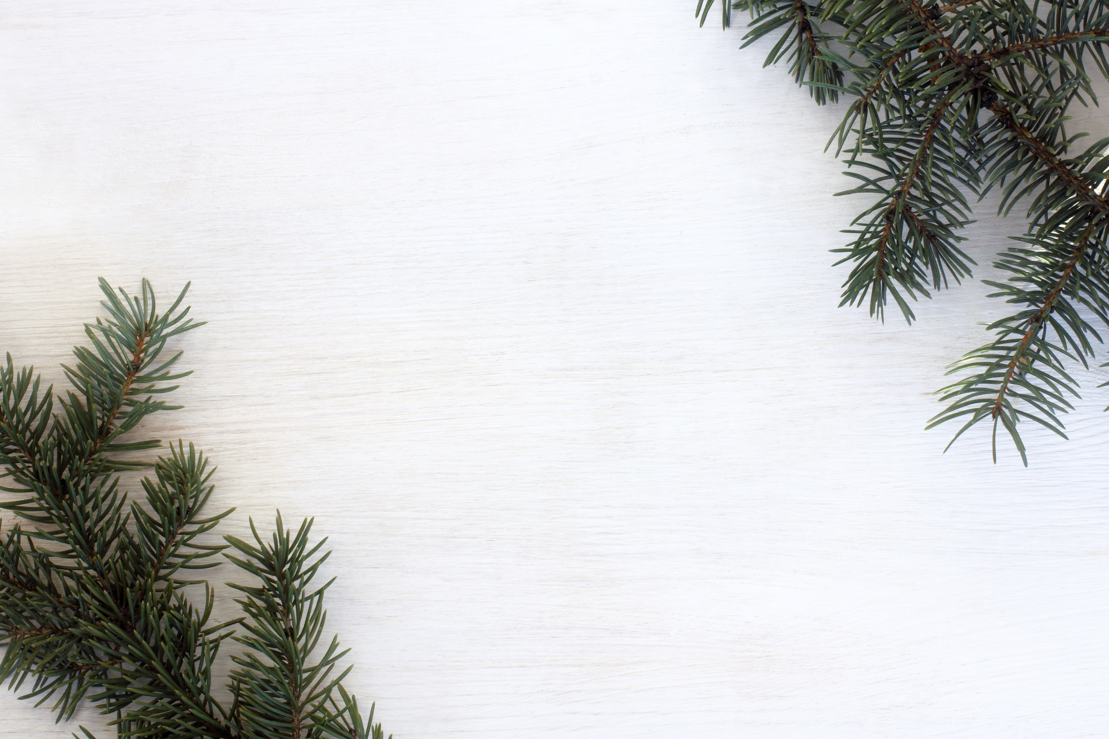 winter holiday decoration